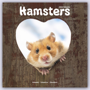 Hamsters - Hamster 2023