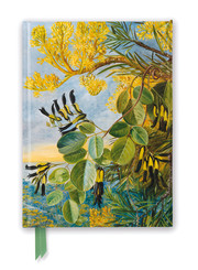 Premium Notizbuch DIN A5: Marianne North, Die Blüten des Flammenbaums - Kew Garden