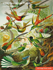 Puzzle - Ernst Haeckel, Kolibris