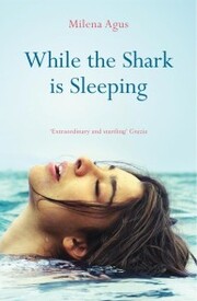 While the Shark is Sleeping - Cover