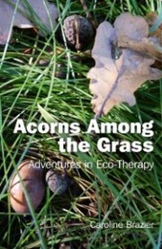 Acorns Among the Grass