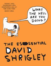 The Essential David Shrigley