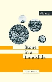 Stone in a Landslide - Cover