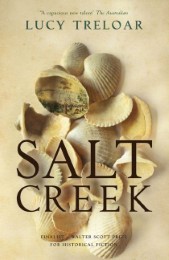 Salt Creek - Cover