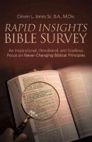 Rapid Insights Bible Survey
