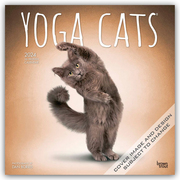 Yoga Cats - Yoga-Katzen 2024 - 16-Monatskalender - Cover