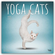 Yoga Cats - Yoga-Katzen 2025 - 16-Monatskalender