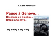Pause à Genève - Cover