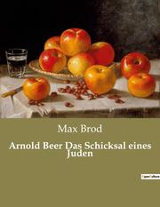 Arnold Beer Das Schicksal eines Juden - Cover