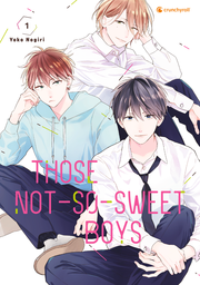 Those Not-So-Sweet Boys 1 - Cover