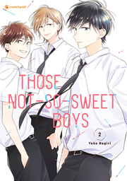 Those Not-So-Sweet Boys 2 - Cover