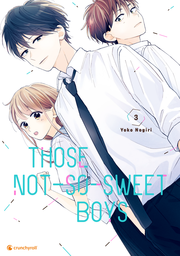 Those Not-So-Sweet Boys 3 - Cover