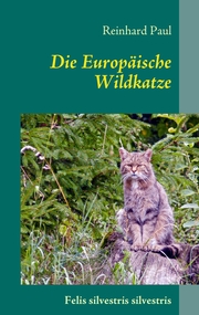 Die Europäische Wildkatze