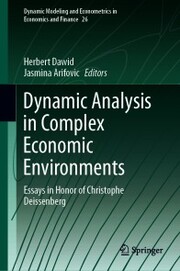 Dynamic Analysis in Complex Economic Environments