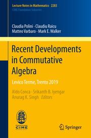 Recent Developments in Commutative Algebra - Cover