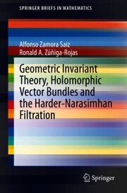 Geometric Invariant Theory, Holomorphic Vector Bundles and the Harder-Narasimhan Filtration - Cover
