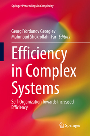 Efficiency in Complex Systems