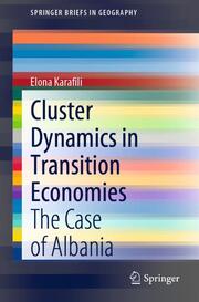 Cluster Dynamics in Transition Economies - Cover