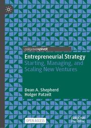 Entrepreneurial Strategy