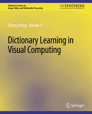 Dictionary Learning in Visual Computing