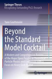 Beyond the Standard Model Cocktail