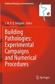 Building Pathologies: Experimental Campaigns and Numerical Procedures