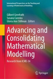 Advancing and Consolidating Mathematical Modelling