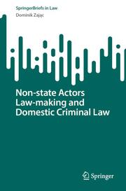 Non-state Actors Law-making and Domestic Criminal Law