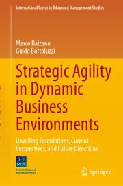 Strategic Agility in Dynamic Business Environments - Cover