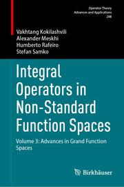 Integral Operators in Non-Standard Function Spaces - Cover