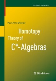 Homotopy Theory of C