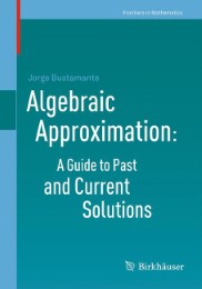 Algebraic Approximation: A Guide to Past and Current Solutions - Abbildung 1