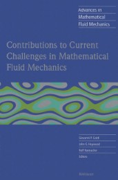 Contributions to Current Challenges in Mathematical Fluid Mechanics - Abbildung 1