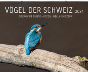 Vögel der Schweiz 2024 - Cover