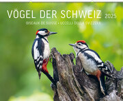 Vögel der Schweiz 2025 - Cover