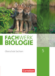 Fachwerk Biologie - Sachsen - 5. Schuljahr - neuer Lehrplan - Cover