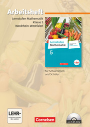 Lernstufen Mathematik - Differenzierende Ausgabe Nordrhein-Westfalen - 5. Schuljahr - Cover