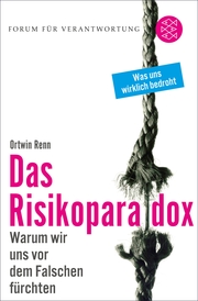 Das Risikoparadox - Cover