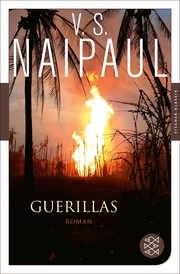 Guerillas - Cover