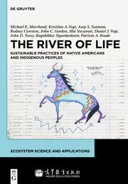 The River of Life: Sustainability in a Native American Context