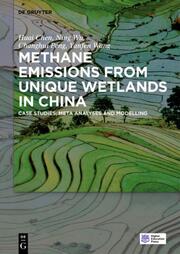Methane Emissions from Unique Wetlands in China