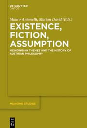 Existence, Fiction, Assumption - Cover