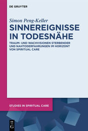 Sinnereignisse in Todesnähe - Cover