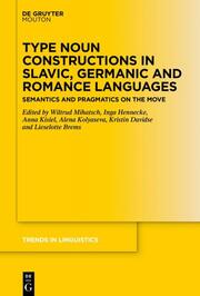 Type Noun Constructions in Slavic, Germanic and Romance Languages
