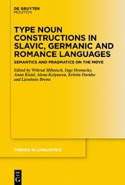 Type Noun Constructions in Slavic, Germanic and Romance Languages - Cover