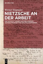 Nietzsche an der Arbeit - Cover