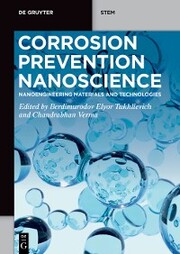 Corrosion Prevention Nanoscience - Cover