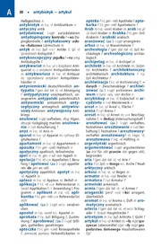 Langenscheidt Praktisches Wörterbuch Polnisch - Abbildung 4