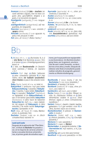 PONS Schülerwörterbuch Spanisch - Abbildung 3
