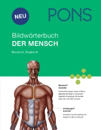 PONS Bildwörterbuch 'Der Mensch'